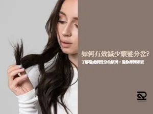 頭髮頭髮分岔護髮髮型修護染髮